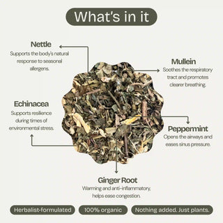 BREATHE | Allergy & Sinus Support Herbal Tea