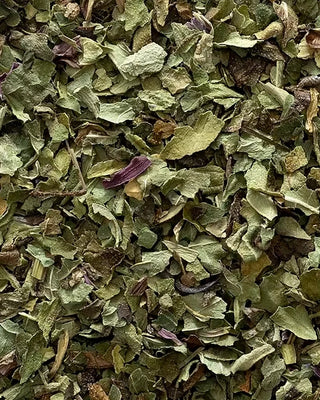 Close-up of dried green echinacea purpurea herbs with a blurred background