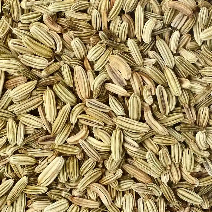 Organic Fennel Seeds | Welb Organics