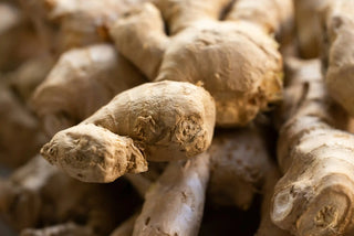 Close-up of ginger roots