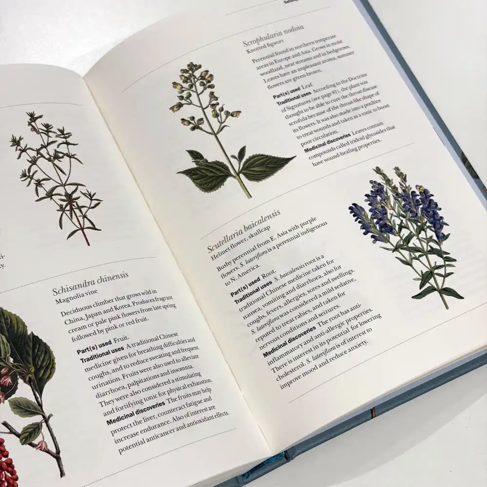 Open book with illustrations of plants and text on a white background
