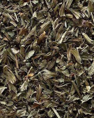 Close-up of dried lemon balm herbs