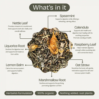 Tea ball with labeled herbs and their benefits on a white background