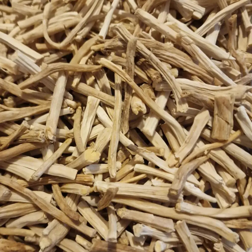 Organic Shatavari Root | Welb Organics