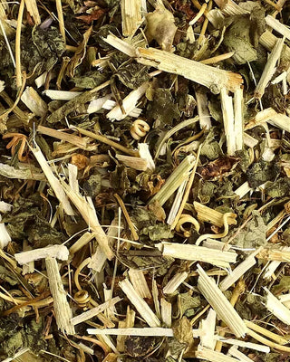 Close-up of a passion flower dried herbs and plants