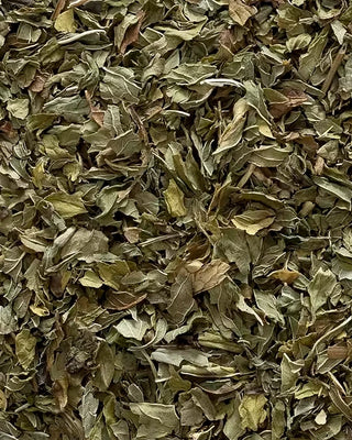 Close-up of dried green spearmint  leaves