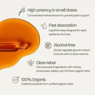 Orange liquid dropper with text about high potency, fast absorption, alcohol-free, clean-label, and 100% organic properties on a white background.